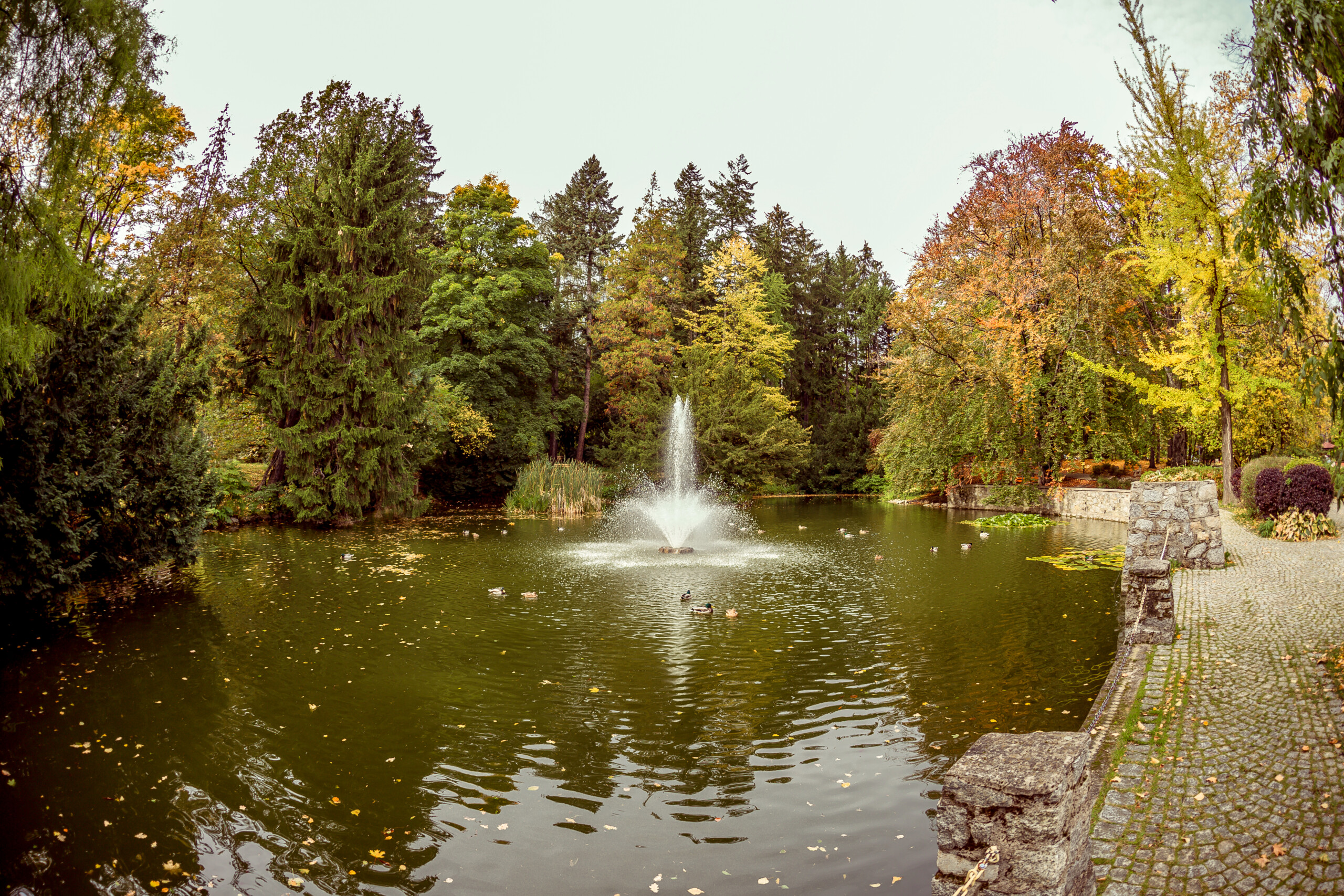Park Szwedzki